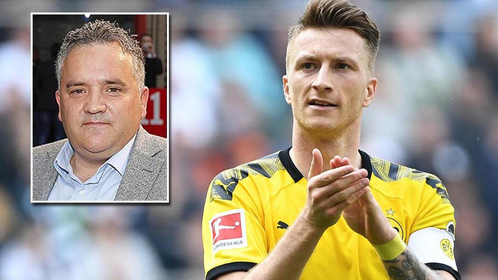 也为市场运 也为市场运