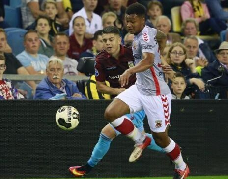 这种不懈的 这种不懈的